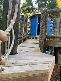 Jungle Island Playground