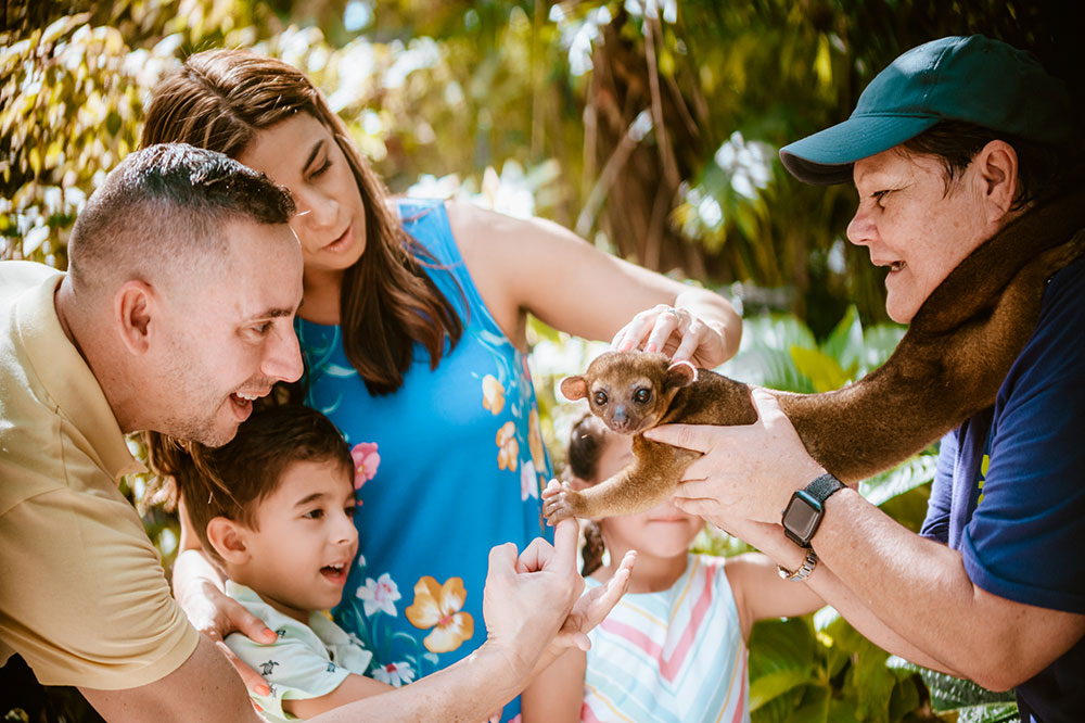 What's New At Jungle Island